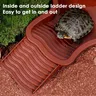 Reptile baignoire piscine Aquarium tortue escalade… – vue 3