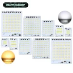 Puces de lampe LED très brillantes, ampoule SMD 220V 2835, entrée de lumière LED IC intelligente 10W 20W 30W 50W 100W pour projecteur extérieur, lumière de jardin