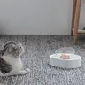 PETPeugeot-Filles d'alimentation réglable pour animaux… – vue 2