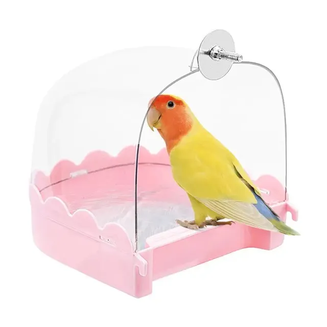 Calopsitte bain d'oiseaux – vue 5