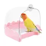 Calopsitte bain d'oiseaux – vue 5