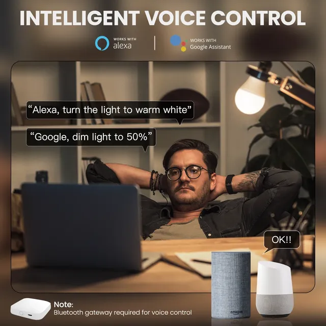MOES – vue 5