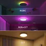 Plafonnier LED Intelligent avec Rétro-Éclairage RGBIC – vue 2