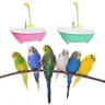 Baignoire automatique pour perroquets – vue 4