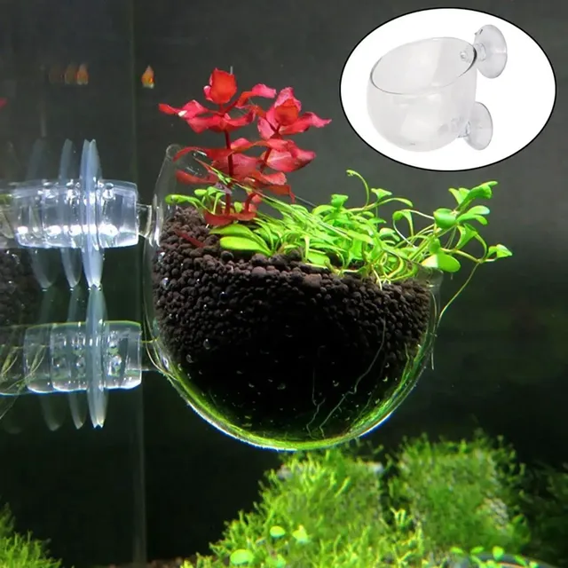 Bassin de tasse d'herbe d'eau bassin d'herbe d'eau… – vue 3