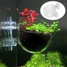 Bassin de tasse d'herbe d'eau bassin d'herbe d'eau… – vue 3