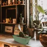 Pot de fleur domestique pour cultiver des légumes et des… – vue 4
