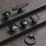 Poignée de porte de garde-robe
