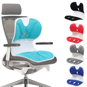coussin siège ergonomique mémoire mousse orthopédique correction posture antipression respirant galbé papillon ventilation coque plastique turquoise universel léger portable lavable
