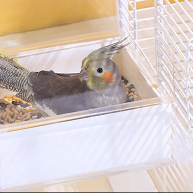 Baignoire de bain pour oiseaux en acrylique – vue 5