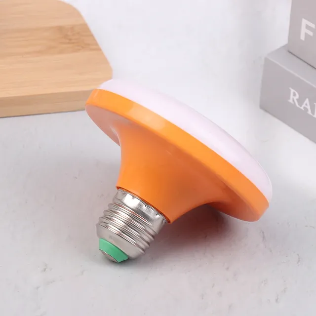 Ampoule LED 220V E27 – vue 6