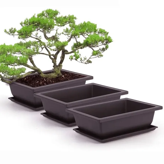 Pots d'entraînement bonsaï rectangulaires – vue 2