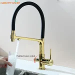 Robinet de cuisine noir à double bec avec filtre, mélangeur d&rsquo;eau potable, Rotation à 360 degrés, fonction de Purification de l&rsquo;eau chaude et froide