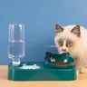 Bols doubles pour chat avec support – vue 5