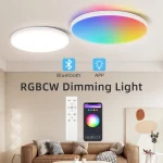 Plafonnier LED RVB Intelligent, 24W, 110V-265V, Ultra Mince, Bluetooth, Contrôle des Lampes pour la Chambre, Version Globale
