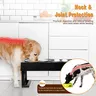 Support de bols doubles surélevés pour chien – vue 4
