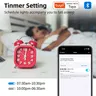 Tuya – vue 4