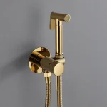 Robinet pulvérisateur de Bidet mural, salle de bains, mélangeur d&rsquo;eau chaude et froide, robinet de Bidet de toilette en laiton doré, robinet de douche à main noir