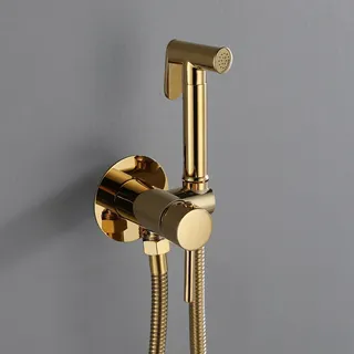 Robinet pulvérisateur de Bidet mural