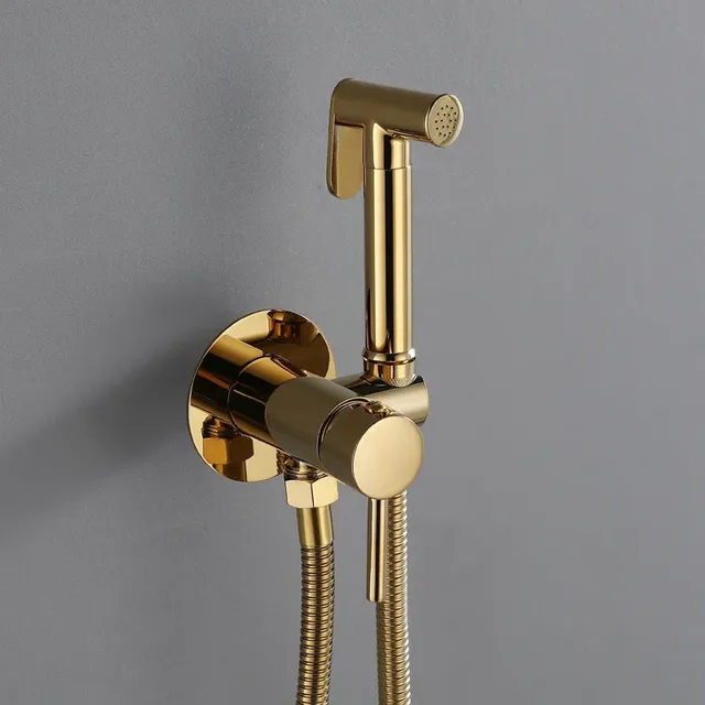 Robinet pulvérisateur de Bidet mural
