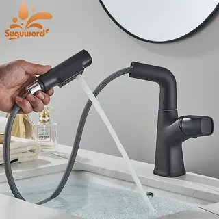 Robinet d'évier de lavabo extractible