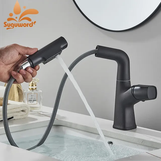 Robinet d'évier de lavabo extractible