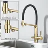 Robinet de cuisine noir à double bec avec filtre – vue 2