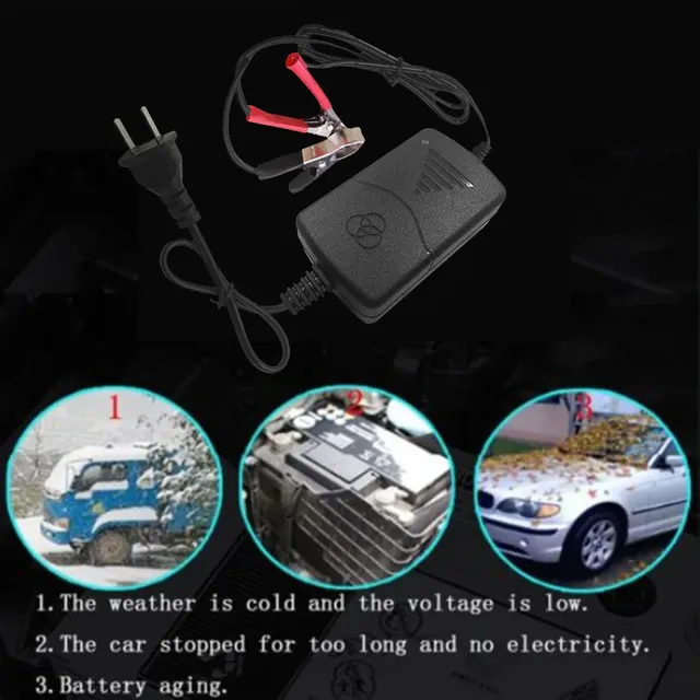 Chargeur de voiture 12 V batterie ue/US chargeur de… – vue 5