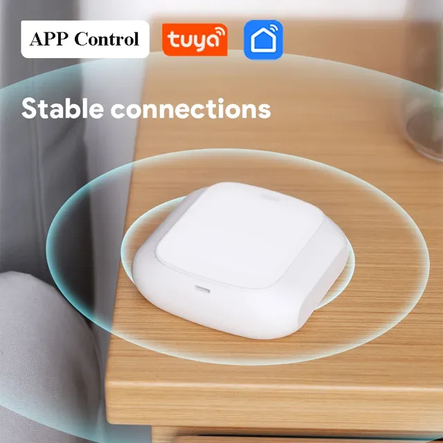 Tuya – vue 2