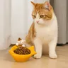 Bol en céramique pour chat de dessin animé