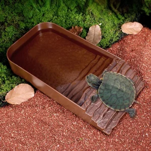 Escabeau de bain en plastique pour tortues grimpantes, 1 pièce, bassin d’eau et de nourriture pour petits animaux de compagnie, tortues, Reptiles, lézards, ornements toutes saisons Escabeau de bain en plastique pour tortues grimpantes, 1 pièce, bassin d’eau et de nourriture pour petits animaux de compagnie, tortues, Reptiles, lézards, ornements toutes saisons