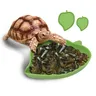 Tortue lézard Reptile bol bassin eau tortue eau Fountai… – vue 3