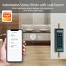 Smart Life WiFi vanne d'eau débit d'eau et compteur… – vue 6