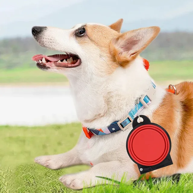 Bol pour chien 2 en 1 – vue 3
