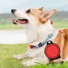 Bol pour chien 2 en 1 – vue 3