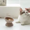 Bol en céramique pour chat – vue 4