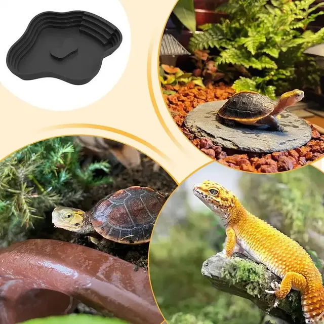 Plat d'eau pour reptiles – vue 6