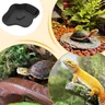 Plat d'eau pour reptiles – vue 6