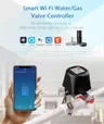 Tuya – vue 5
