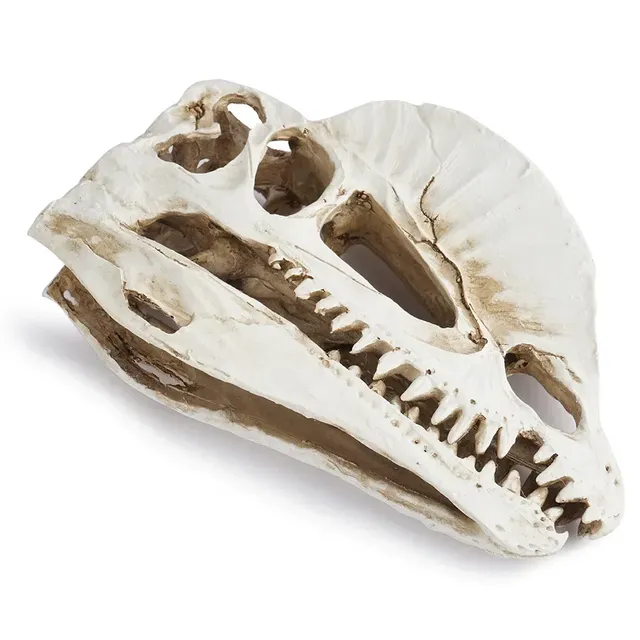 Décoration d'aquarium de dinosaure en résine – vue 4