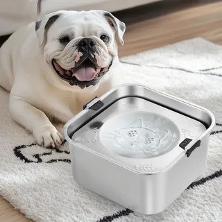 Filles pour chien en acier inoxydable 304