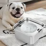Filles pour chien en acier inoxydable 304