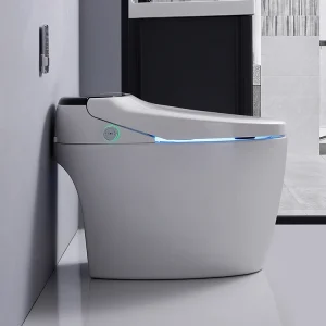 Ensemble de toilettes intelligentes modernes, nettoyage automatique, toilettes monobloc, sol debout, chasse d&rsquo;eau à capteur intelligent, chasse d&rsquo;eau des hanches, protection contre les pannes de courant.