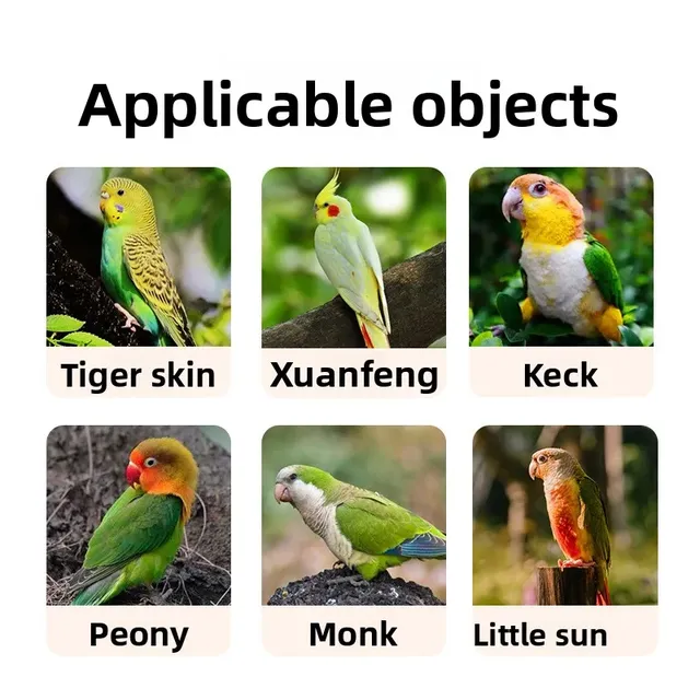 Baignoire à usage quotidien pour oiseaux – vue 4