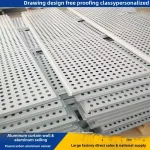 Rideau de porte à panneau unique en aluminium, panneau perforé sculpté, plafond en nid d&rsquo;abeille, décoration murale, panneau perforé en alun