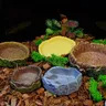 Bassin d'alimentation sur chenilles série Aquarium – vue 2