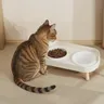 Double bol pour animaux de compagnie – vue 2