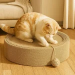 Lit à gratter ovale pour chat, bassin en Sisal résistant à l&rsquo;usure, bassin de patte de chat avec boule de jeu, planche à griffes de chat respirante, usage intérieur