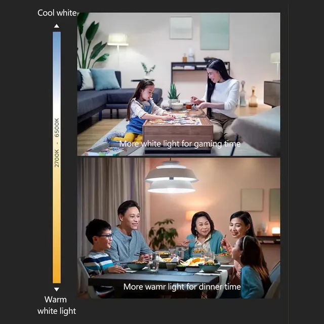 Philips – vue 2