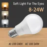 Ampoule Led E27 B22 – vue 1